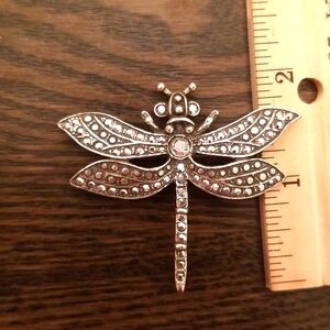 Kirk's Folly Dragonfly pin